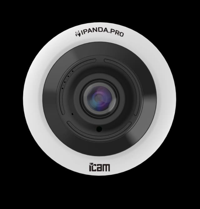 iCAM Hemispheric.12XM.